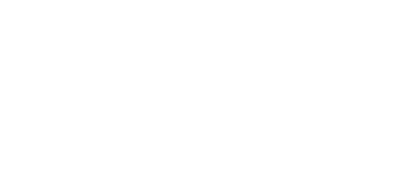 Decorative Element 2