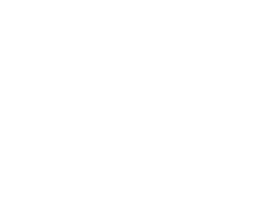 Decorative Element 1